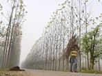 According to the weather department, a yellow alert for dense fog has been issued for December 27. (Gurpreet Singh/HT) According to the weather department, a yellow alert for dense fog has been issued for December 27. (Gurpreet Singh/HT)