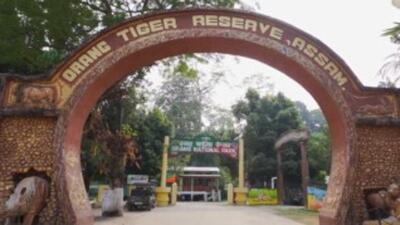Forest officials said necessary procedures were being followed, including coordination with local authorities. (X/cmpatowary)