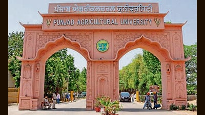 Gate Number 1 of the Punjab Agricultural University. (HT Photo) Gate Number 1 of the Punjab Agricultural University. (HT Photo)
