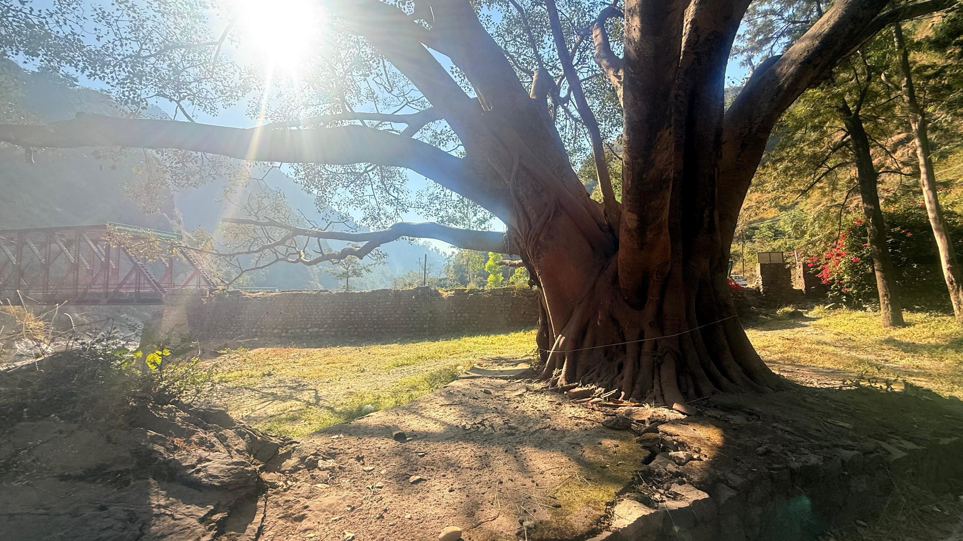 A glimpse of the location where Bhaag Mohabbat will be shot in Dehradun. A glimpse of the location where Bhaag Mohabbat will be shot in Dehradun.