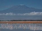 Aircraft accidents on Mount Kilimanjaro are rare, with the last recorded incident being in November 2008
