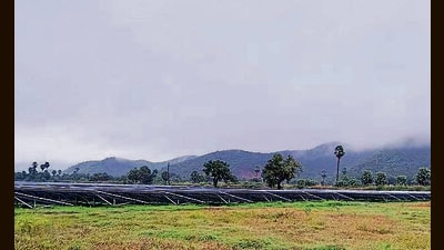 Bihar’s largest solar power plant in Lakhisarai under Project Kajra is set to be operational soon (HT PHOTO) Bihar’s largest solar power plant in Lakhisarai under Project Kajra is set to be operational soon (HT PHOTO)