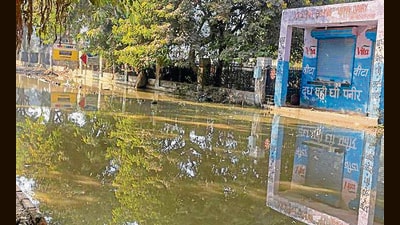 Sewage leaking led to serious difficulties for pedestrians and daily commuters in Sector 67 near Ansal Esencia Society (HT)
