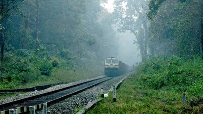 ప్రతీకాత్మక చిత్రం ప్రతీకాత్మక చిత్రం