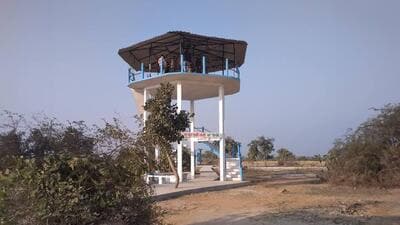 Blackbuck sanctuary in Chand Khamaria in Prayagraj. (HT) Blackbuck sanctuary in Chand Khamaria in Prayagraj. (HT)