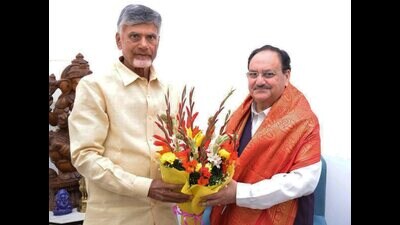 In a letter to state health minister Y Satya Kumar Yadav, the Union health minister indicated that under the VGF framework, funding support can go up to 80% of the project. (PTI)
