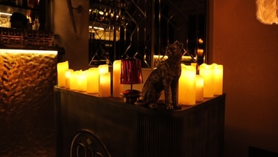 The interiors of Raiya marries Victorian elegance with soulful warmth