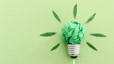 Sustainable development (REPRESENTATIVE PHOTO)