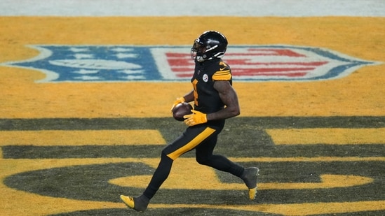 DK Metcalf was involved in a sideline altercation with a Lions fan during the Pittsburgh Steelers’ 29-24 road win over the Detroit Lions at Ford Field. (AP)