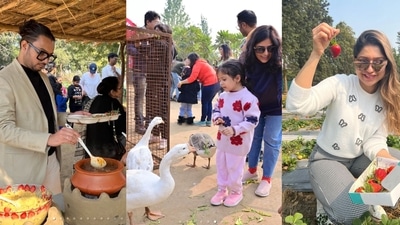 Farms across Delhi-NCR, offering a variety of brunch experiences, have become a hit this winter season.