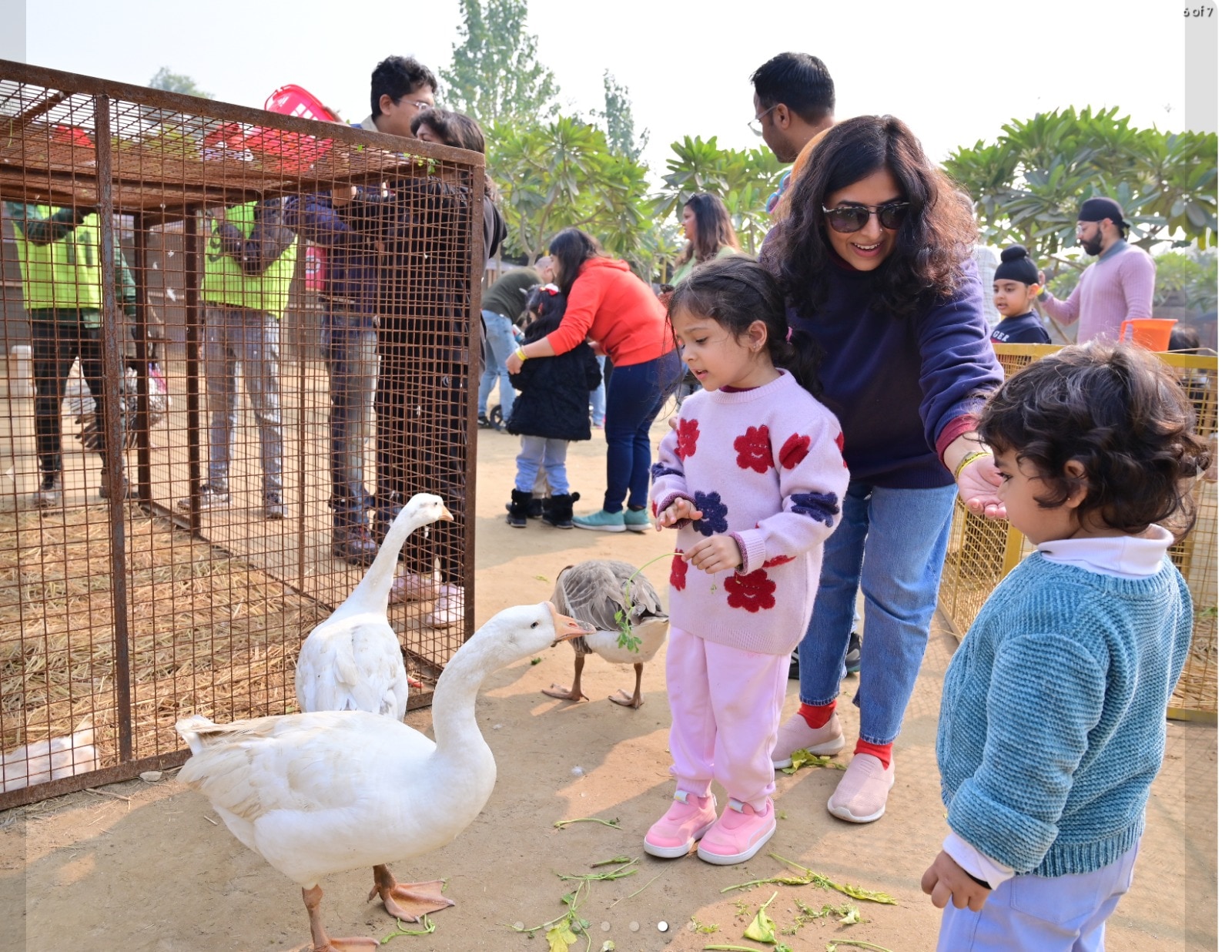 At Tuk Tuk Gilhari Farms in Noida, the brunch experience comes alive with animal petting and feeding.