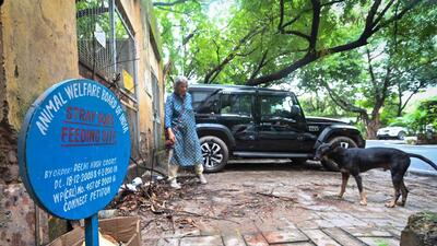 A designated feeding spot in Vasant Kunj. (HT Archive) A designated feeding spot in Vasant Kunj. (HT Archive)