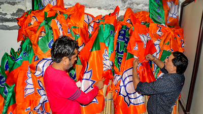 In the recent local body elections, the LDF won 10 seats, the UDF eight, the NDA four, while two independents were elected. (Representative image/PTI) In the recent local body elections, the LDF won 10 seats, the UDF eight, the NDA four, while two independents were elected. (Representative image/PTI)