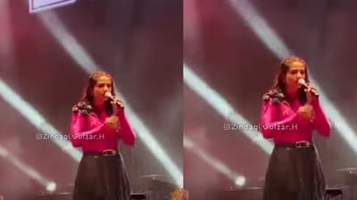 Dahiya, known for her viral hit 52 Gaj Ka Daman, was performing on stage when the situation began to spiral out of control. (Instagram@zindagi.gulzar.h) Dahiya, known for her viral hit 52 Gaj Ka Daman, was performing on stage when the situation began to spiral out of control. (Instagram@zindagi.gulzar.h)