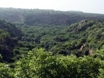 Describing the Aravallis as the “green lungs of north-western India”, the court underlined that the two-billion-year-old range serves as an indispensable ecological and socio-economic backbone of the region, acting as a natural barrier separating the Thar desert from the fertile northern plains while sustaining diverse ecosystems and livelihoods. (HT File)