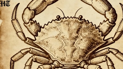 Cancer Horoscope Today: Read our expert astrological predictions to find out what the stars have in store for you.