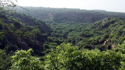 Describing the Aravallis as the “green lungs of north-western India”, the court underlined that the two-billion-year-old range serves as an indispensable ecological and socio-economic backbone of the region, acting as a natural barrier separating the Thar desert from the fertile northern plains while sustaining diverse ecosystems and livelihoods. (HT File) Describing the Aravallis as the “green lungs of north-western India”, the court underlined that the two-billion-year-old range serves as an indispensable ecological and socio-economic backbone of the region, acting as a natural barrier separating the Thar desert from the fertile northern plains while sustaining diverse ecosystems and livelihoods. (HT File)