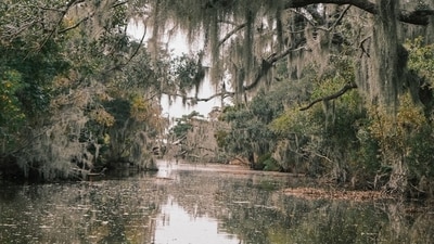 Serial killer rumors in Texas after 3 bodies found in Houston's Buffalo Bayou (Unsplash - representational image) Serial killer rumors in Texas after 3 bodies found in Houston's Buffalo Bayou (Unsplash - representational image)