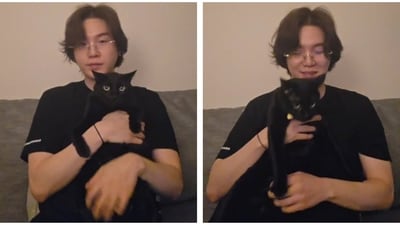 BTS's Suga introduced his pet cat, named Sugar, to all the fans. BTS's Suga introduced his pet cat, named Sugar, to all the fans.