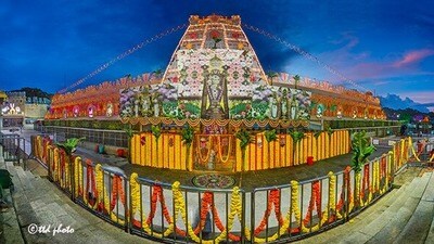 టీటీడీ (TTD) టీటీడీ (TTD)