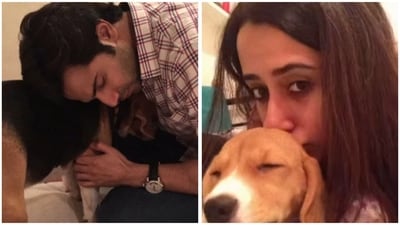 Watch the video Varun Dhawan shared as a tribute to his dog. (Instagram) Watch the video Varun Dhawan shared as a tribute to his dog. (Instagram)