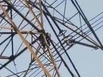 Officials from the Dadri Town police outpost, along with a police team, reached the spot soon after receiving information from locals. (Video grab/HT Photos) Officials from the Dadri Town police outpost, along with a police team, reached the spot soon after receiving information from locals. (Video grab/HT Photos)