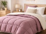 Soft comforters on a single bed add instant winter cheer, offering snug sleep, easy layering, and style for compact bedrooms.(AI generated)