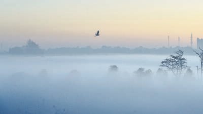 Dense fog engulfs the city skyline on a winter morning, in Ranchi on Tuesday. (PTI) Dense fog engulfs the city skyline on a winter morning, in Ranchi on Tuesday. (PTI)