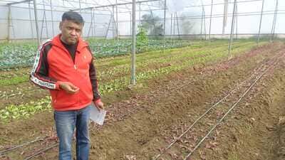 Farmer Jigyasu Mishra with his crop of exotic vegetables in his polyhouse in Prayagraj (HT PHOTO) Farmer Jigyasu Mishra with his crop of exotic vegetables in his polyhouse in Prayagraj (HT PHOTO)