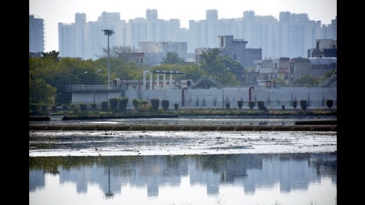 New plants will come up at Nehru Park, INA Metro, Bharti Nagar and key central Delhi locations. (HT Archive) New plants will come up at Nehru Park, INA Metro, Bharti Nagar and key central Delhi locations. (HT Archive)