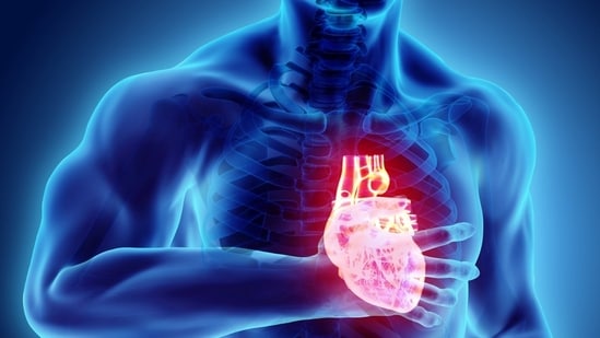 Read more to find out about arterial plaques! (Twitter/WebMD)