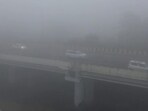 Within the Capital, pollution levels varied significantly but remained universally hazardous. (ANI Video Grab) Within the Capital, pollution levels varied significantly but remained universally hazardous. (ANI Video Grab)