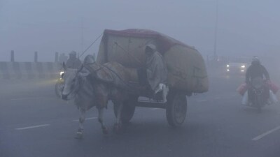 Commuters struggled to reach the destination in the early hours of Wednesday amid dense fog and severe cold. (Sakib Ali/Hindustan Times) Commuters struggled to reach the destination in the early hours of Wednesday amid dense fog and severe cold. (Sakib Ali/Hindustan Times)