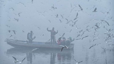 The India Meteorological Department issued a yellow alert for moderate to dense fog ahead of New Year’s Eve celebrations. (Vipin Kumar/Hindustan Times) The India Meteorological Department issued a yellow alert for moderate to dense fog ahead of New Year’s Eve celebrations. (Vipin Kumar/Hindustan Times)