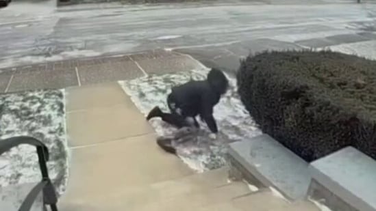 Diane Miller was knocked off her feet by strong winds in Western New York.