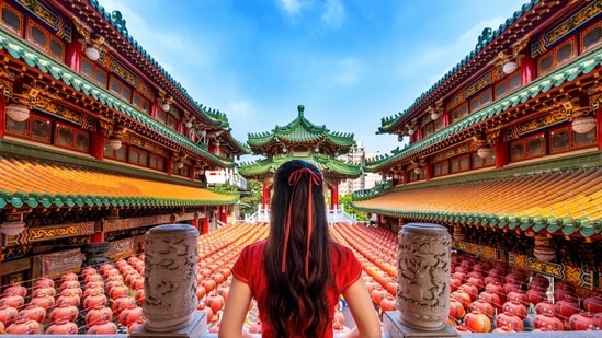Here's how Reddit reacted when a person expressed concerns about managing remote areas and sought recommendations for local travel agencies to ensure a smoother experience for their family. (Freepik)