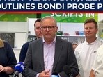 Albanese reveals 4-point plan to probe Bondi Beach attack Albanese reveals 4-point plan to probe Bondi Beach attack