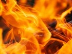 Massive fire reported in Roselle Park, New Jersey. Massive fire reported in Roselle Park, New Jersey.