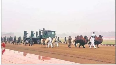 An animal contingent of the Remount & Veterinary Corps (RVC) of the Indian Army to be showcased during the R-Day 2026 parade. ANI An animal contingent of the Remount & Veterinary Corps (RVC) of the Indian Army to be showcased during the R-Day 2026 parade. ANI