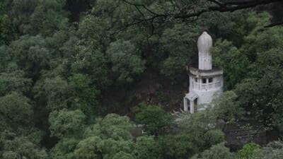 This primeval land of Mangar Bani has been existing as a forest for a long time, maybe for thousands of years. (HT Photo) This primeval land of Mangar Bani has been existing as a forest for a long time, maybe for thousands of years. (HT Photo)