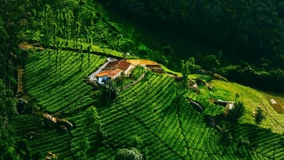 ఊటీ (Image source Unsplash) ఊటీ (Image source Unsplash)