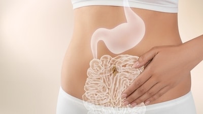 The gut is closely connected to the brain, so know which foods help to strengthen this connection. (Shutterstock) The gut is closely connected to the brain, so know which foods help to strengthen this connection. (Shutterstock)