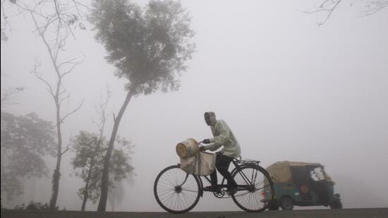 A cyclist on a road amid dense fog on a winter morning on the outskirts of Agartala in Tripura (PTI)