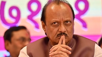 Pawar's comments have come after BJP's Murlidhar Mohol questioned why the NCP was fielding candidates with criminal backgrounds in Pune. (HT File Photo)