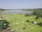 “No sewage was found reaching four water bodies,” the report mentioned. (Representative photo)