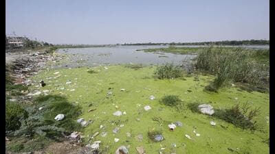 “No sewage was found reaching four water bodies,” the report mentioned. (Representative photo) “No sewage was found reaching four water bodies,” the report mentioned. (Representative photo)