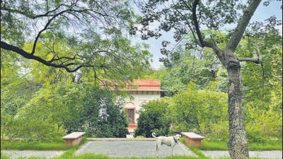 Sunder Burj, which dates from 16th century, is the oldest monument in the garden. (Mayank Austen Soofi) Sunder Burj, which dates from 16th century, is the oldest monument in the garden. (Mayank Austen Soofi)