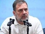 A BJP leader has raised Rahul Gandhi’s citizenship issue. (For Representation)