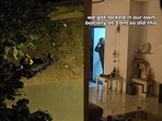 The video of the incident was shared by Pune resident Mihir Gahukar on Instagram.
