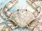 Cancer Horoscope Today: Read our expert astrological predictions to find out what the stars have in store for you.
Cancer Horoscope Today: Read our expert astrological predictions to find out what the stars have in store for you.
